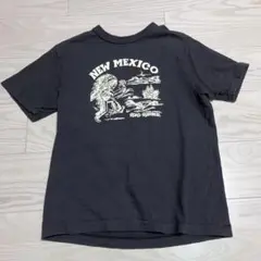 【美品】WAREHOUSE NEW MEXICO Tシャツ　半袖　スミクロ　S