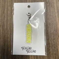 SEVENTEEN EXHIBITION バーノン チャーム セブチ
