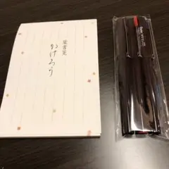 葉書箋 水性ペン ペンテル プラマン