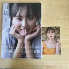 遠藤さくら1st写真集 可憐