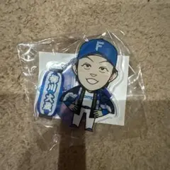 (即購入OK) 柳川大晟　ファイターズガチャ