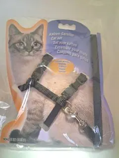 Item thumbnail for item 10fdb897-2d7f-4384-8276-85dc5fcbcb29