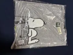 美品　スヌーピー 音楽デザイン Tシャツ SMサイズ グレークリーニング　日本製