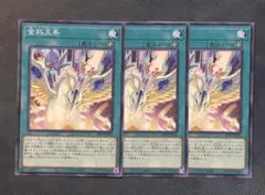 金科玉条　ノーマル