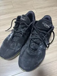 NIKE レブロン21