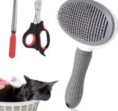 Item thumbnail for item 27d73a9c-e884-4a35-b8f4-3c56d0b8fdee