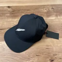 Item thumbnail for item d3950485-a58c-4293-852d-ae837a216c46