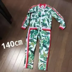 H&M　葉っぱ柄ジャージ　セットアップ　 140cm