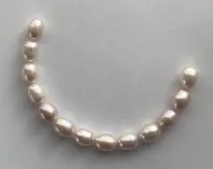 Item thumbnail for item 9b67cd65-e022-49c9-8e48-f283b16fcdd9
