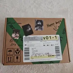 BTS V "LAYOVER"