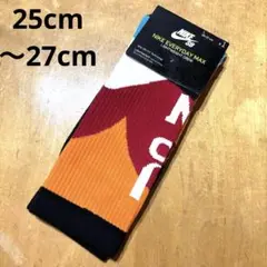 NIKE SB EVERYDAY MAX XL 東京オリンピック　スケボー　堀米