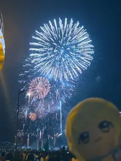 専用