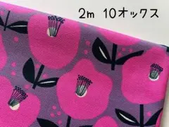 Item thumbnail for item f059f974-c79e-44af-99c0-d3e1c1f35f9a