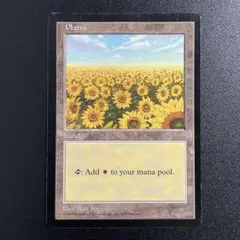m18535337676_1.jpg?1707724442