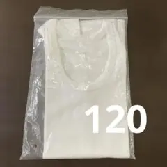 綿100 ホワイト アンダーシャツ 袋入り 120