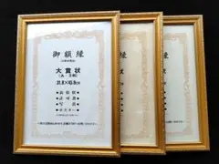 Item thumbnail for item b765b281-2ab2-492b-a919-50e48e19926b