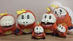 ポケモン　ホゲータ　ぬいぐるみ　5体セット