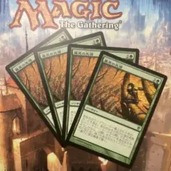 MTG 暴走の先導 日本語4枚セット