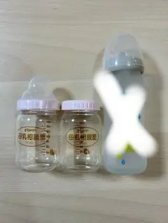 Item thumbnail for item 2336d025-a8c2-46dd-9242-a197bf69bc09