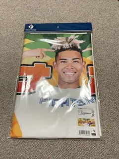 新品未使用！北海道日本ハムファイターズ応援タオル 水谷瞬