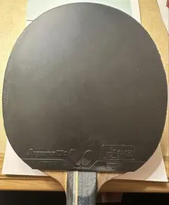 ディグニクス09c 黒特厚