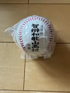 第101回高校野球記念グッズ