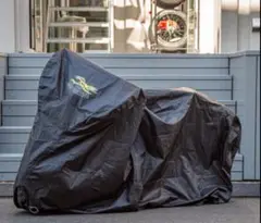 Item thumbnail for item c0a51b38-3fc7-474c-b2ff-ea459e4c2adc