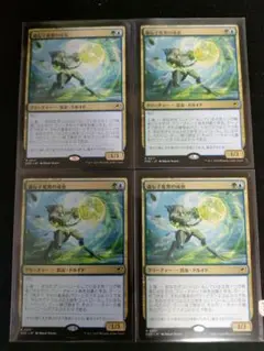 遺伝子変異の成虫（日）４枚セット