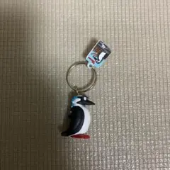 美品　チャムス　ガチャ　キーホルダー