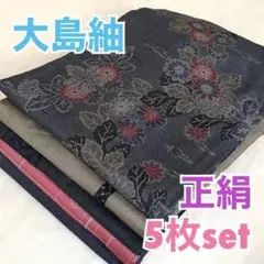 ⭐️s-218【大島紬】5枚set⭐️正絹⭐️リメイク素材、着付け練習用など