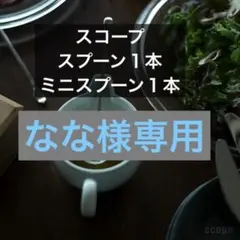 スコープ スプーンとミニスプーン各1本ずつ
