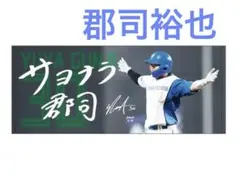 未開封 日本ハムファイターズ 郡司裕也 Today's HERO 応援タオル