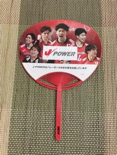 ネーションズリーグ　vnl 2025 うちわ