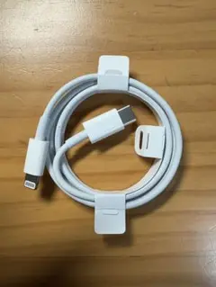 iPhone ライトニングケーブル タイプC Apple 純正品
