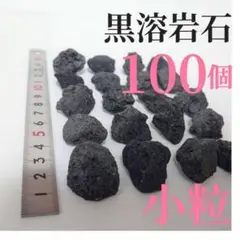 【希少】黒溶岩石 100個 【小粒】☆アクアリウム、テラリウム、コケリウムに最適
