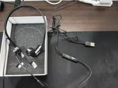 Item thumbnail for item 139728f8-e0f8-4119-8822-77b528d9295f