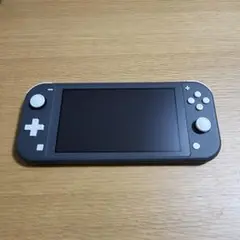 Nintendo Switch NINTENDO SWITCH LITE グ…