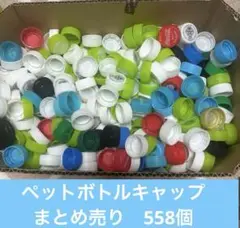 ペットボトルキャップ　558個まとめ売り　※夏休み工作などにどうぞ！