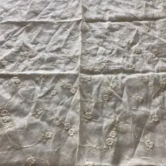 Item thumbnail for item 814a39eb-efa9-4e2e-bf3e-abcad8bd6df0