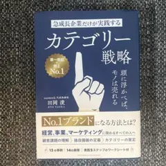カテゴリー戦略 田岡淳著