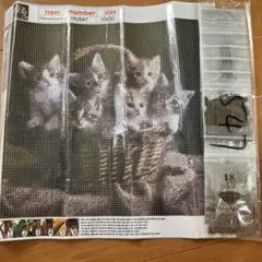 ダイヤモンドペインティングキット 猫 HUS47 30x30