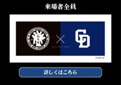 中日ドラゴンズ 氣志團コラボ 手ぬぐい 新品未使用