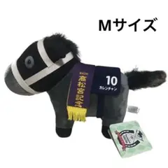 的場様 ブエナビスタ カレンチャン アイドルホース Mサイズ 的場様 ブエナビスタ カレンチャン アイドルホース Mサイズ