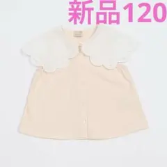 Item thumbnail for item 17ed78c5-1f83-4543-a050-dc6a1366d8ba
