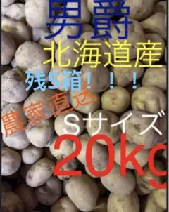 じゃがいも 北海道産 低農薬 種芋にも Sサイズ 約20kg 農家直送