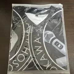 細川たかし　Tシャツ　Vネック　Lサイズ