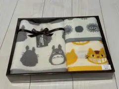 Item thumbnail for item ecece44a-83c2-4911-86f4-022812e792ba