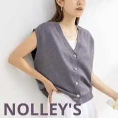 NOLLEY'Sノーリーズ 《手洗い可能》総針Vネックラメベスト38