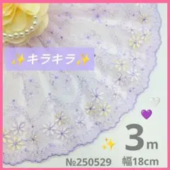 №250529　チュールレース