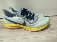 Nike トレイル　ペガサス36